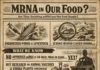 mRNA in our food – What is really happening in the food chain? Is mRNA in our food already happening? Discover the research, the unanswered questions, and why transparency in the food chain matters.